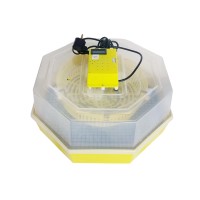 Incubator electric cu termometru CLEO5T/INC4 (84362100)