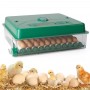 Incubator de oua Des Champs Eco Profi C-70