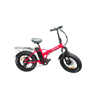 Bicicleta electrica Gherakl B750-1