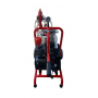 Aparat de muls vaci Maksan VT (1 post/1 bidon 40l.)