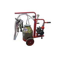 Aparat de muls vaci Maksan (1 post inox/1 bidon 30l. inox)