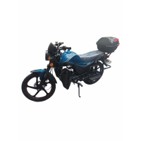 Motocicleta Andes 110cc Green