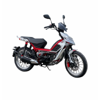 Motocicleta Rato Scooter T-Fun 125cc