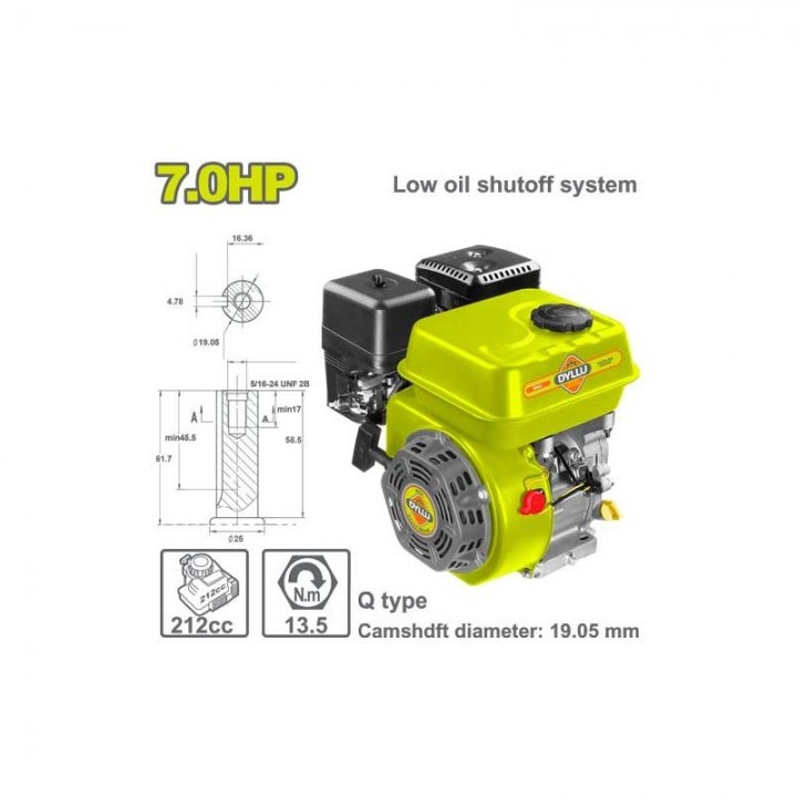 Мотор бензиновый 7,0л.с. 4T DYLLU DTGNAA170Q