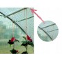 Sera tip tunel 3x3x2 m