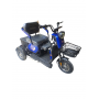 Tricicleta electrica Gherakl E1300 Blue