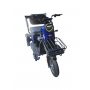 Tricicleta electrica Gherakl E1300 Blue