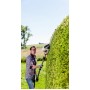 Accesoriu pentru decupator AL-KO НТА 4045