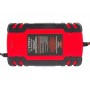Зарядное устройство Red Technic RTPM0079